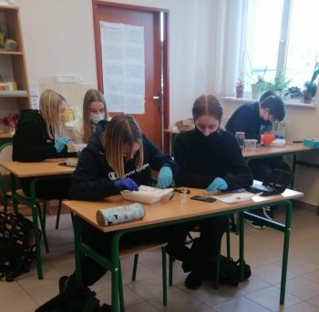 Konsultacje z biologii cd...