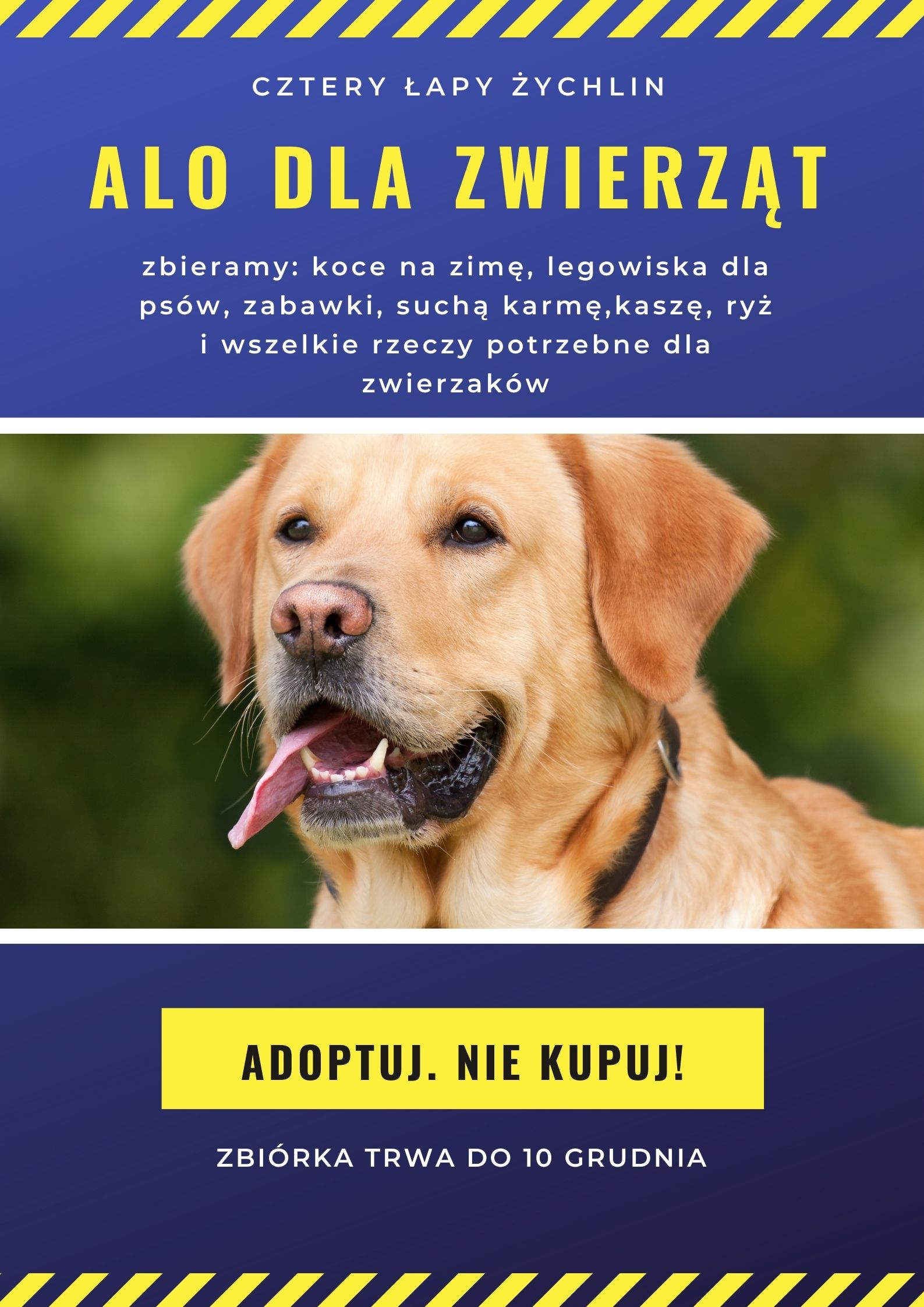 ALO dla zwierząt