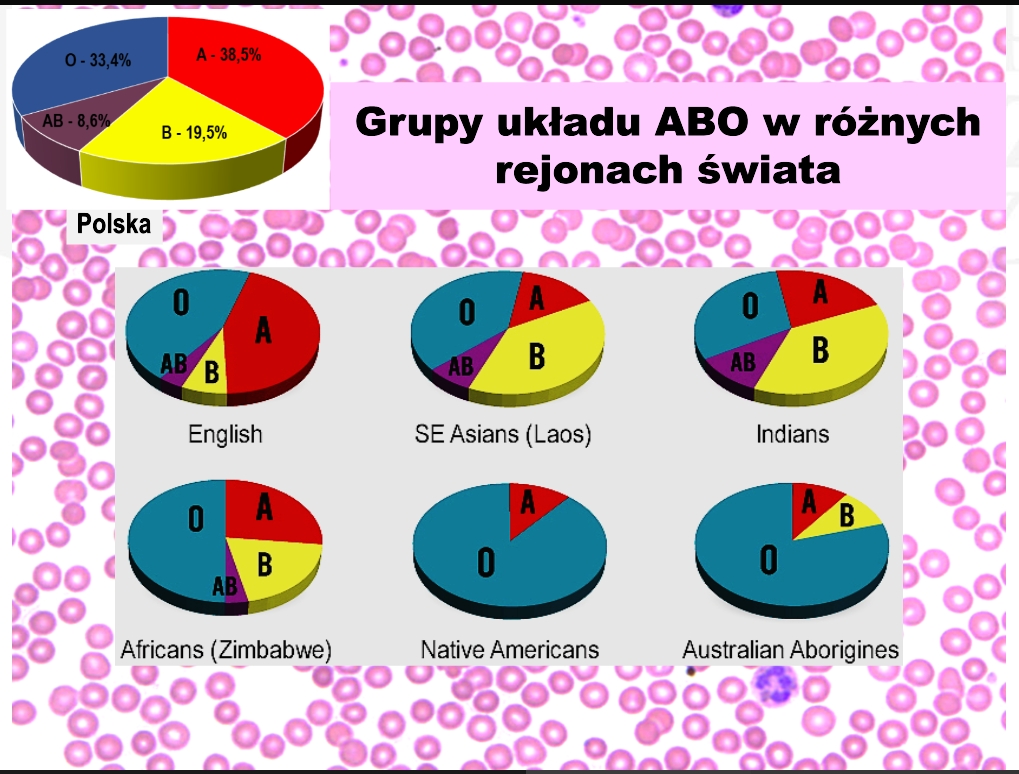 WYKŁAD NA UMED-ZIE „DLACZEGO MAMY RÓŻNE GRUPY KRWI?”