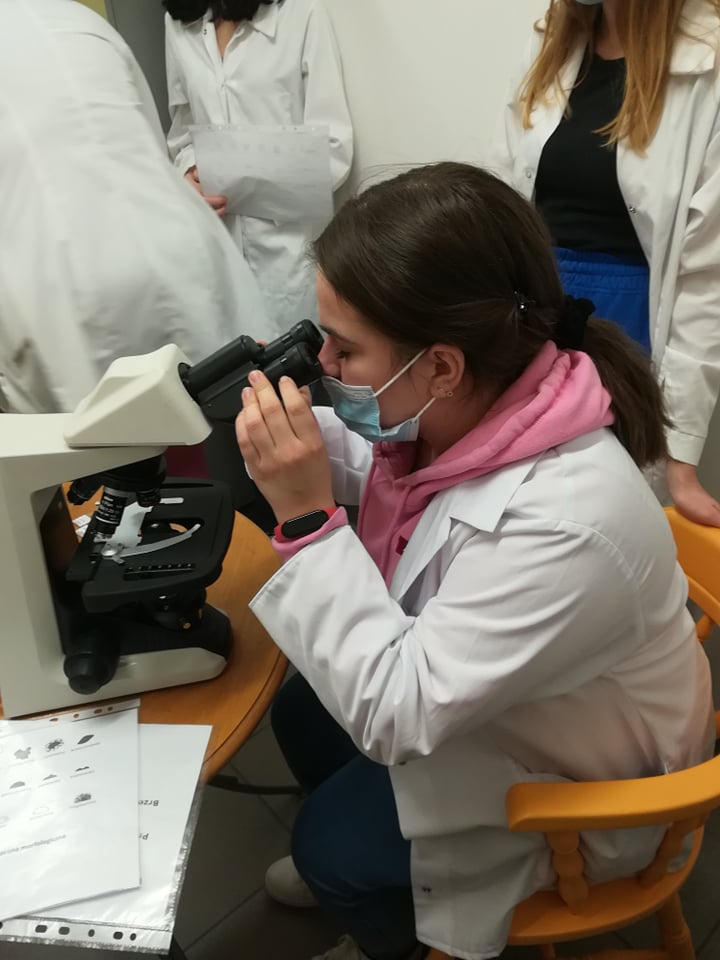 Laboratoria na Uniwersytecie Medycznym w Łodzi