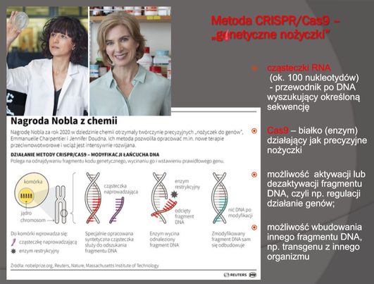 WYKŁAD NA UMED-dzie „BIOTECHNOLOGIA W MEDYCYNIE I FARMACJI”