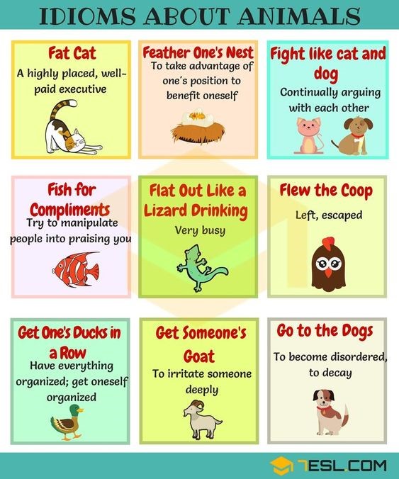 JULIA TULIŃSKA ZWYCIĘŻCZYNIĄ SZKOLNEGO KONKURSU „ENGLISH IDIOMS WITH ANIMALS”